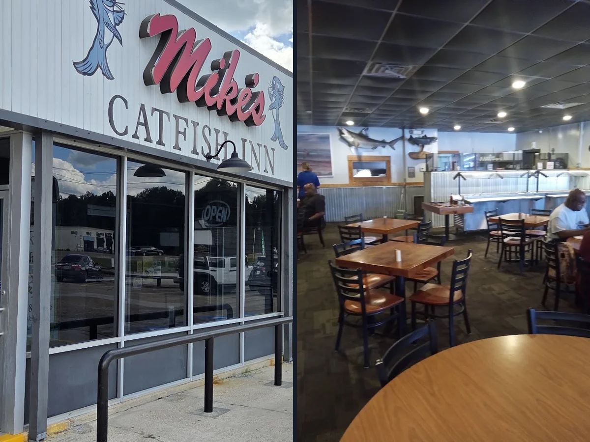 Casual restaurant seating with a family-friendly feel